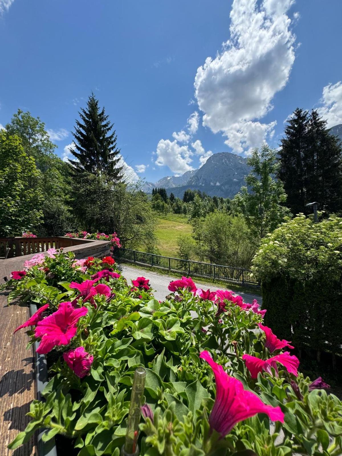 Sonnenburg Hotel Ehrwald Dış mekan fotoğraf